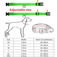 Load image into Gallery viewer, Paws & Claws™LED Glowing Dog Collar
