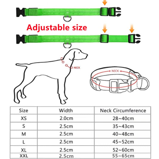 Paws & Claws™LED Glowing Dog Collar