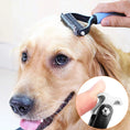 Load image into Gallery viewer, Paws & Claws™Professional Pet Brush
