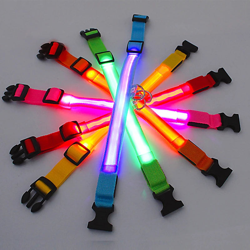 Paws & Claws™LED Glowing Dog Collar