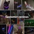 Load image into Gallery viewer, Paws & Claws™LED Glowing Dog Collar
