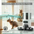 Load image into Gallery viewer, PAWS & CLAWS™AUTOMATIC luxury CAT FEEDER
