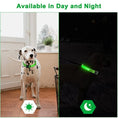 Load image into Gallery viewer, Paws & Claws™LED Glowing Dog Collar
