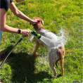 Load image into Gallery viewer, Paws & Claws™High-pressure Sprayer Nozzle Hose dog shower Gun
