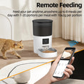 Load image into Gallery viewer, PAWS & CLAWS™Automatic Cat Feeder With Camera Video
