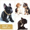 Load image into Gallery viewer, PAWS & CLAWS™Luxury Gold Dog Chain Collar
