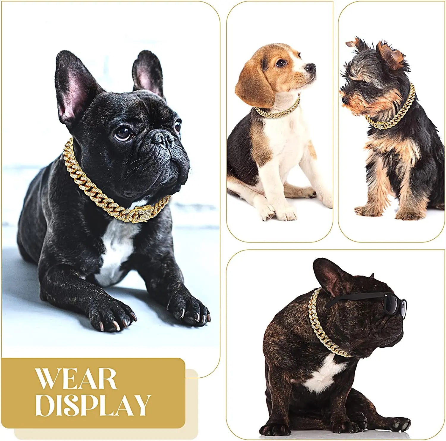 PAWS & CLAWS™Luxury Gold Dog Chain Collar