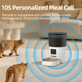 Load image into Gallery viewer, PAWS & CLAWS™Automatic Cat Feeder With Camera Video
