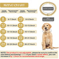 Load image into Gallery viewer, PAWS & CLAWS™Luxury Gold Dog Chain Collar
